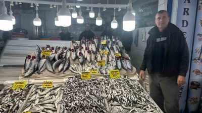 Balıkesir’de balık tezgahlarında bolluk yaşanıyor. Hamsi, çinekop, palamut, barbun, sarı