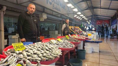 Balıkesir’in Bandırma ilçesinde balık tezgahlarında palamut yerini çinekop, istavrit ve