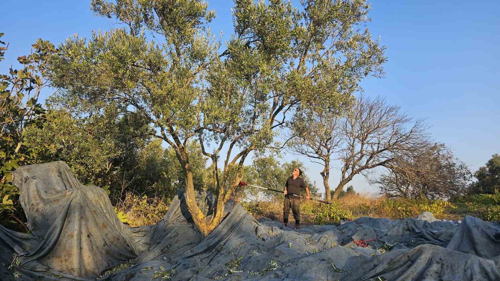 Güney Marmara’nın tarımsal merkezleri olan Bandırma, Erdek ve Gönen’de 2024