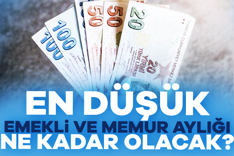 Milyonlarca memur ve emekli ocak ayı zamlı maaşlarını merak ediyor.