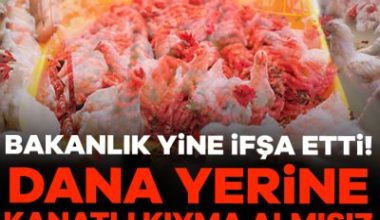Tarım ve Orman Bakanlığı son günlerde yaptığı denetimler sonucu, insan