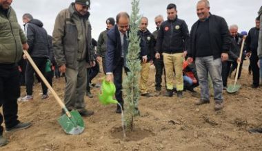 Balıkesir'in Bandırma ilçesinde 'Milli Ağaçlandırma Günü' etkinliğinde 750 çam fidanı
