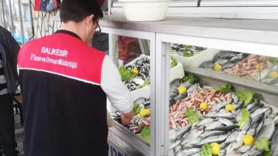 Edremit İlçe Tarım ve Orman Müdürlüğü, 1380 Sayılı Su Ürünleri