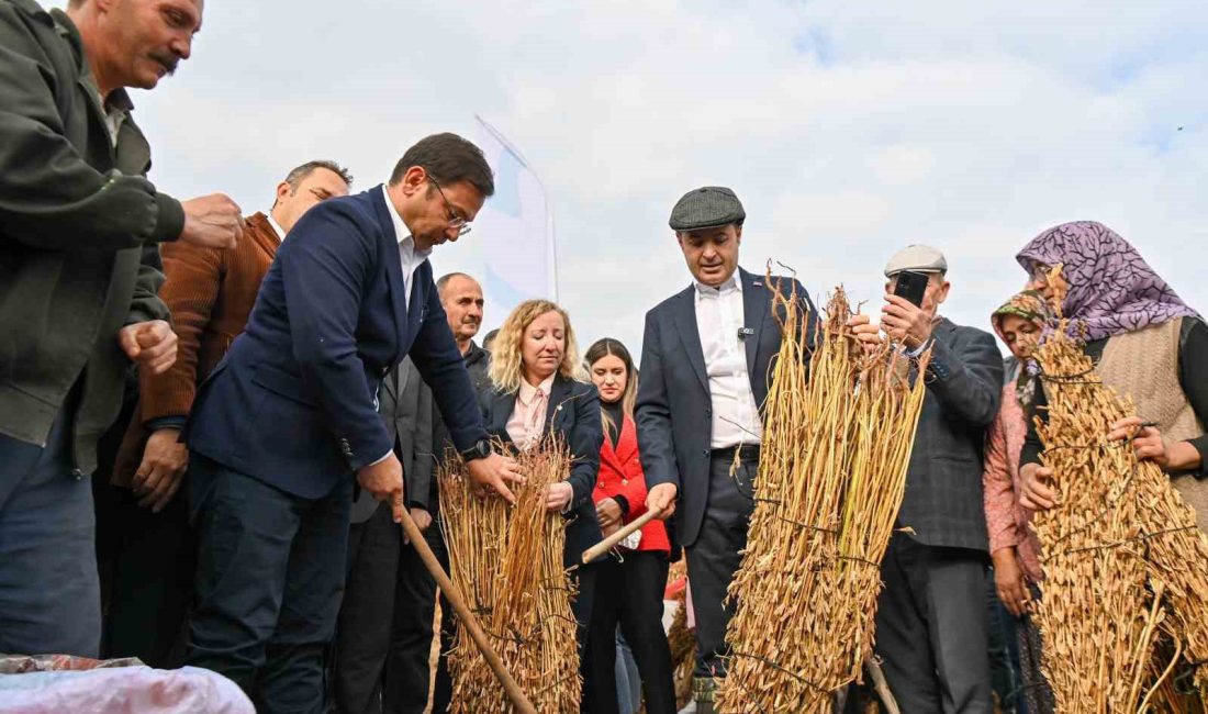 Balıkesirli susam üreticilerine büyük destek Balıkesir Büyükşehir Belediyesi, Üretici Destek Modeli Projesi kapsamında Sındırgılı üreticilerden