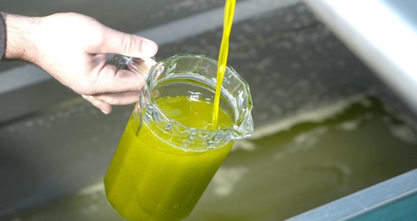 Zeytinyağı alırken dikkat, sahtesi nasıl anlaşılır Zeytin hasadının başlamasıyla birlikte fırsatçılar sahte zeytinyağları üreterek piyasaya sürmeye
