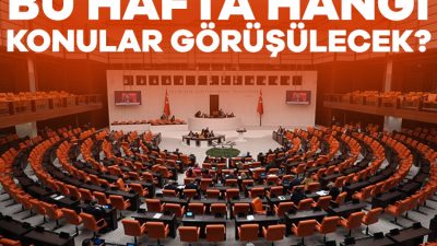 Türkiye Büyük Millet Meclisi'nin gündemi yeni haftada da yoğun olacak.