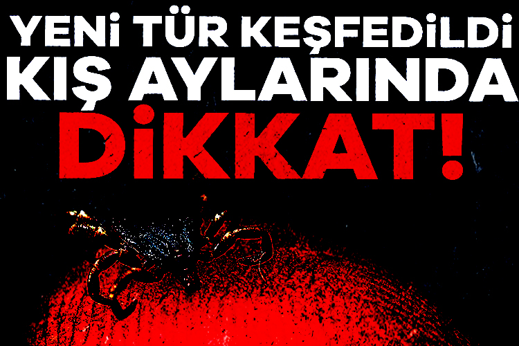 25'ten fazla hastalığının yayılmasından sorumlu olan keneler, son birkaç yılda