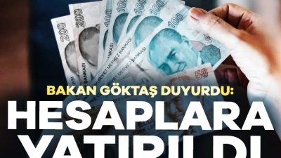 Aile ve Sosyal Hizmetler Bakanı Mahinur Özdemir Göktaş, Evde Bakım