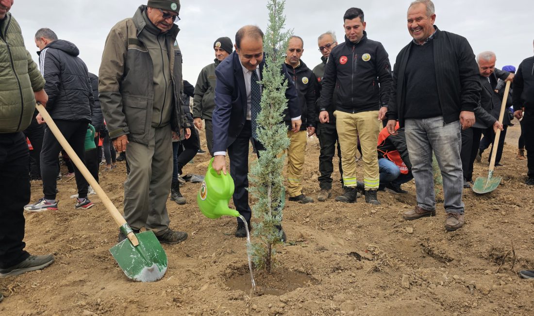 Balıkesir'in Bandırma ilçesinde 'Milli Ağaçlandırma Günü' etkinliğinde 750 çam fidanı