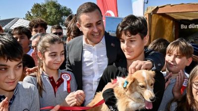 “Sahip çıkıyoruz, sahipsiz bırakmıyoruz” projesiyle toplamda bin 52 sahipsiz sokak