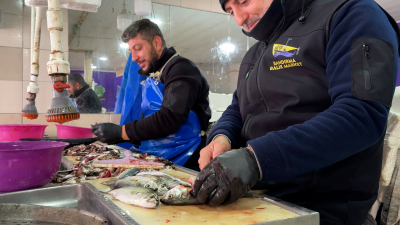 Son çağrı: Palamut bitiyor, Çinekop ve Hamsi tezgahlarda: Palamuta veda