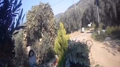 Balıkesir'in Erdek ilçesine bağlı Ocaklar kırsal mahallesi yolunda 28 Ekim