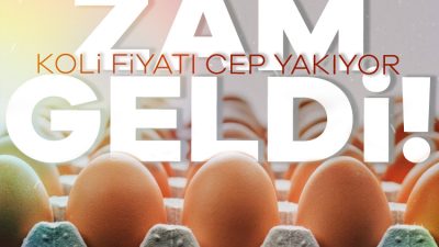 Yumurta fiyatlarına 2 hafta içinde peş peşe zam geldi. Zamların