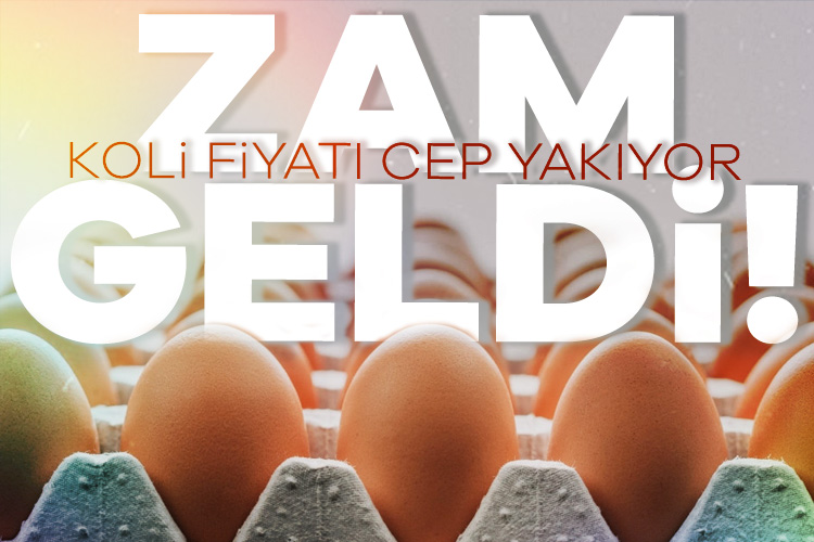 Yumurta fiyatlarına 2 hafta içinde peş peşe zam geldi. Zamların