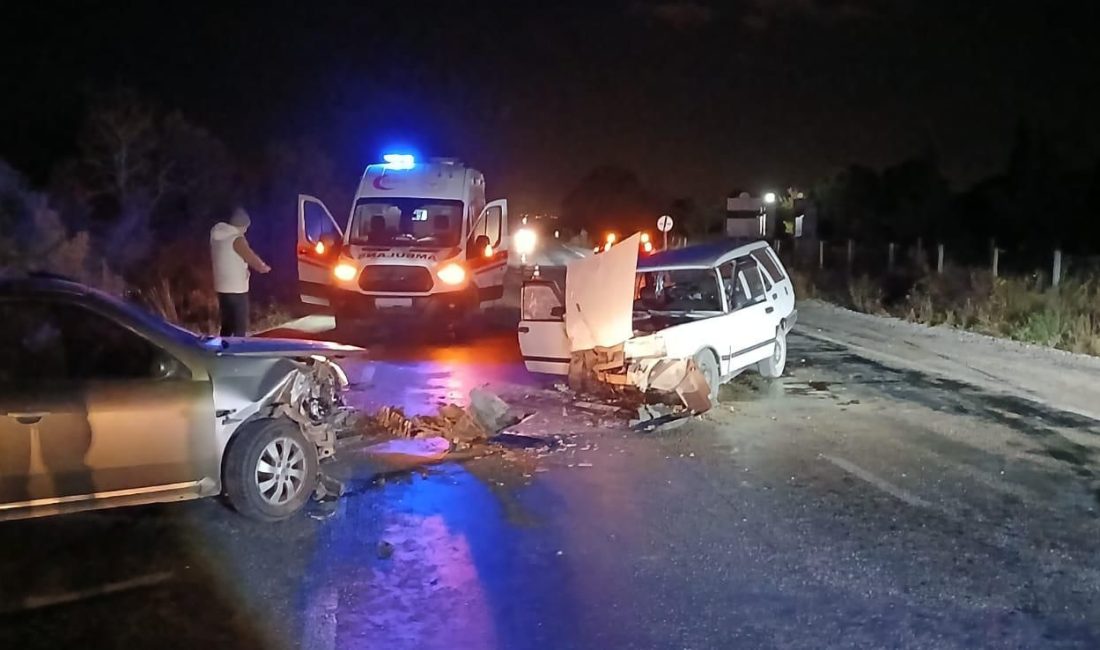 Balıkesir'in Gönen ilçesinde akşam saatlerinde Hacıvelioba Yolu üzerinde meydana gelen