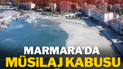 2021 yılında Marmara Denizi'nde görülen müsilajın, deniz altında varlığını sürdüğü