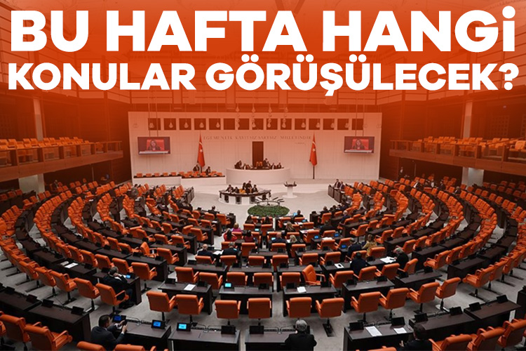 Türkiye Büyük Millet Meclisi'nin gündemi yeni haftada da yoğun olacak.