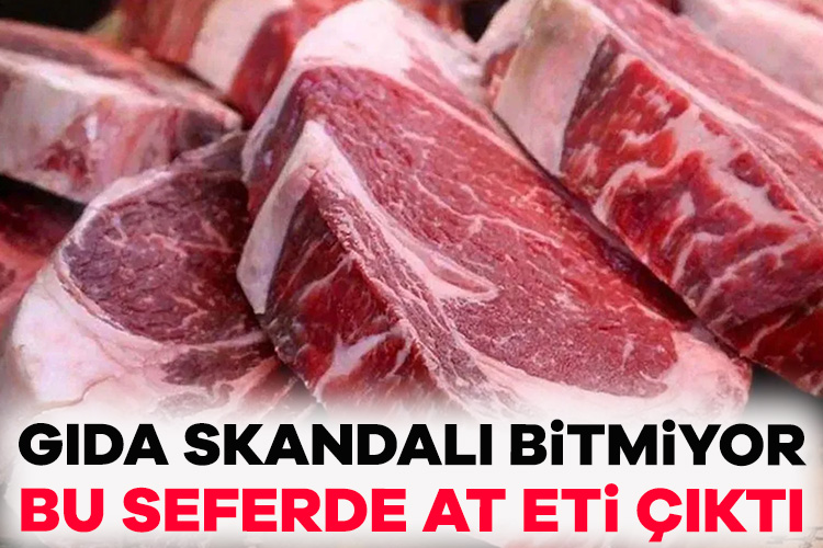 Gıdada skandal bitmiyor: Bu kez at eti yedireceklerdi Tarım ve Orman Bakanlığının ifşa ettiği listede birçok ilde çok