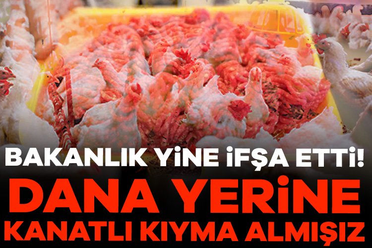 Tarım ve Orman Bakanlığı kıymada kanatlı eti tespit edilen yerleri ifşa etti! Tarım ve Orman Bakanlığı son günlerde yaptığı denetimler sonucu, insan