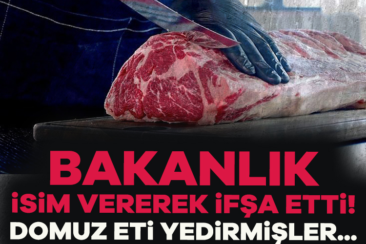 Tarım ve Orman Bakanlığı yayınladığı listede bir çok sayıda firmanın