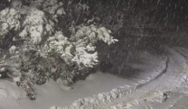 Balıkesir’in Erdek ilçesine bağlı Kapıdağ Yarımadası’nda, kış mevsiminin etkisini hissettirdiği