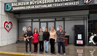 Balıkesir Büyükşehir Belediyesi Bandırma Sokak Hayvanları Tedavi Merkezi, Nisan ve