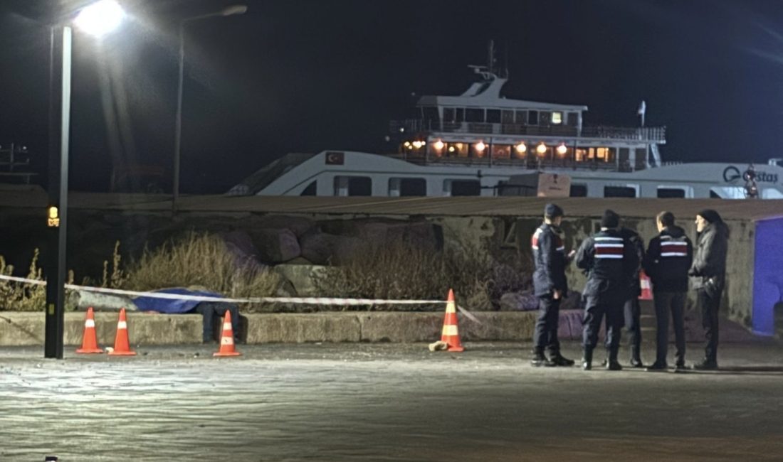 Balıkesir’in Erdek ilçesi Narlı Mahallesi’nde akşam saat 21.00 sularında yaşanan