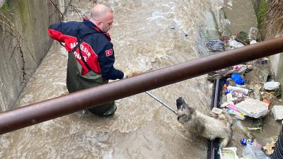 Balıkesir'in Manyas ilçesinde, su dolu bir tahliye kanalına düşen iki