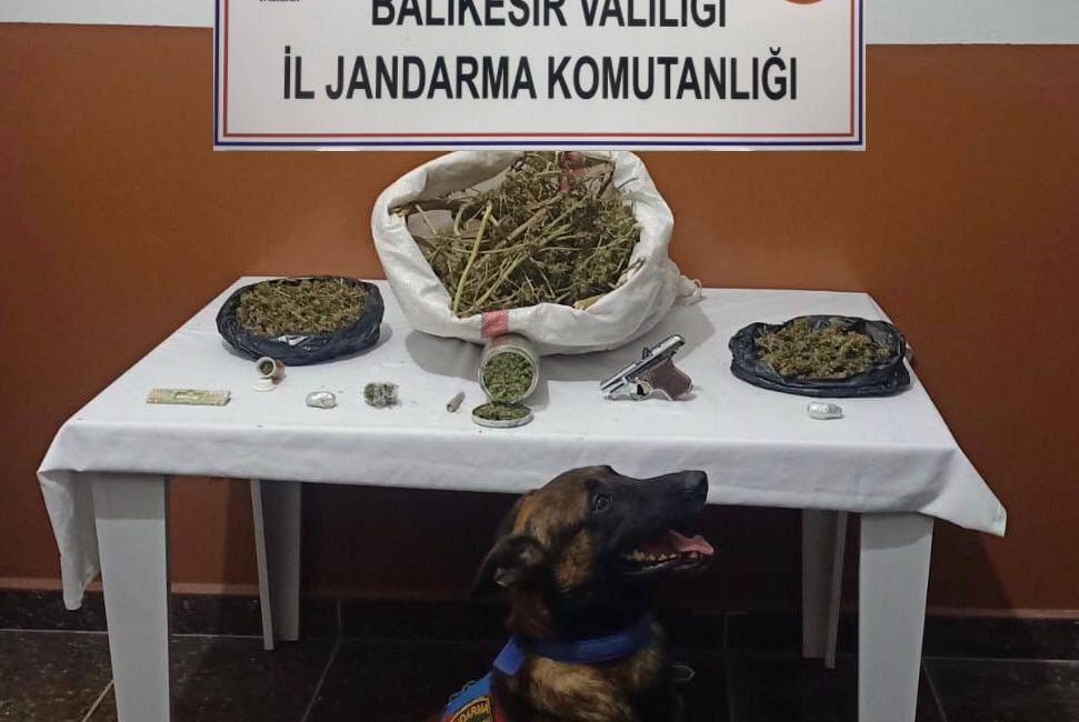 Balıkesir’de uyuşturucu operasyonu: 2,2 kilogram esrar ve tabanca ele geçirildi Balıkesir İl Jandarma Komutanlığı, uyuşturucu madde imal ve ticareti yapan
