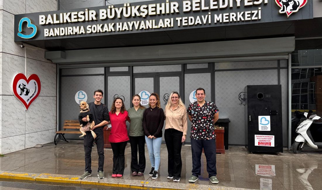 Bandırma Sokak Hayvanları Tedavi Merkezi 13 bin 459 hayvana şifa dağıttı Balıkesir Büyükşehir Belediyesi Bandırma Sokak Hayvanları Tedavi Merkezi, Nisan ve