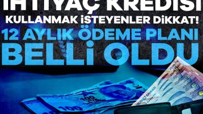 İhtiyaç kredisi kullanmak isteyen vatandaşlar, bankaların faiz oranlarını araştırıyor. Yılbaşı