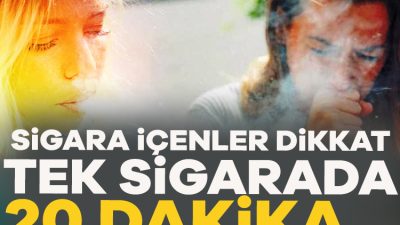 University College London'daki (Londra Üniversitesi) araştırmacılar, tek bir sigaranın yaşam