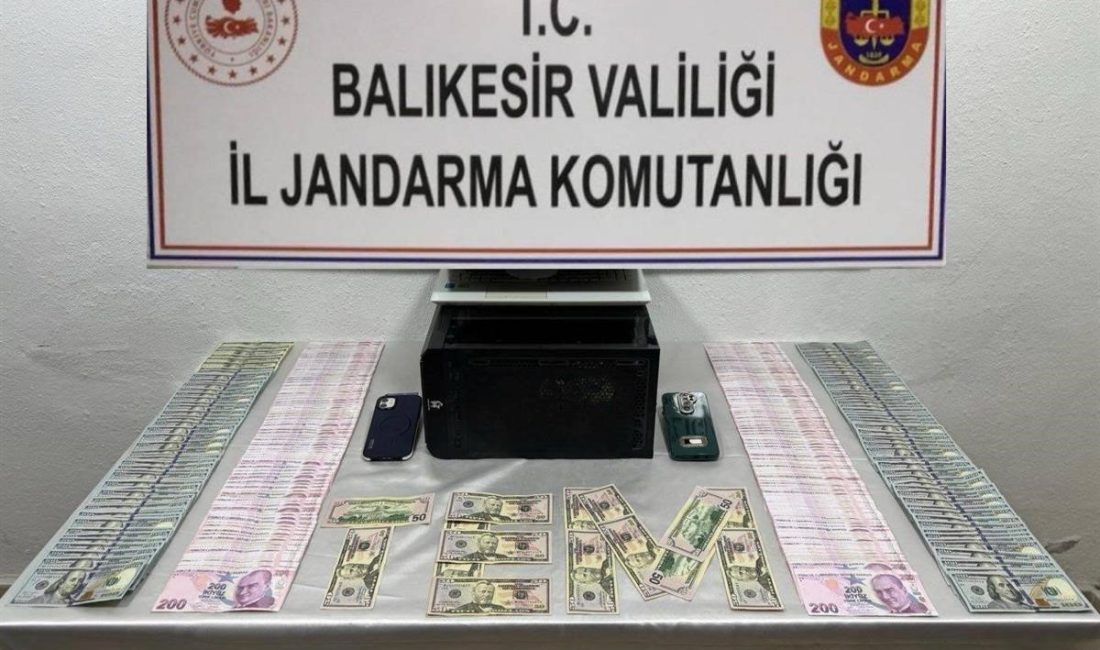 Balıkesir'in Bandırma ilçesinde İl Jandarma Komutanlığı ekiplerinin düzenlediği operasyonda gözaltına