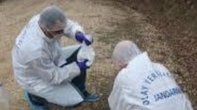 Balıkesir’de jandarma kriminal, kasım ayında yaşanan 23 faili meçhul olayı