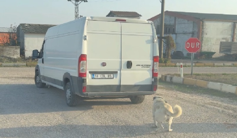 Gönen’de Hayvan Hakları İhlali: Kamyonet Arkasında Sürüklenen Köpek Kurtarıldı Balıkesir’in Gönen ilçesine bağlı Sarıköy Mahallesi’nde yaşanan üzücü olayda, Y.Ç.