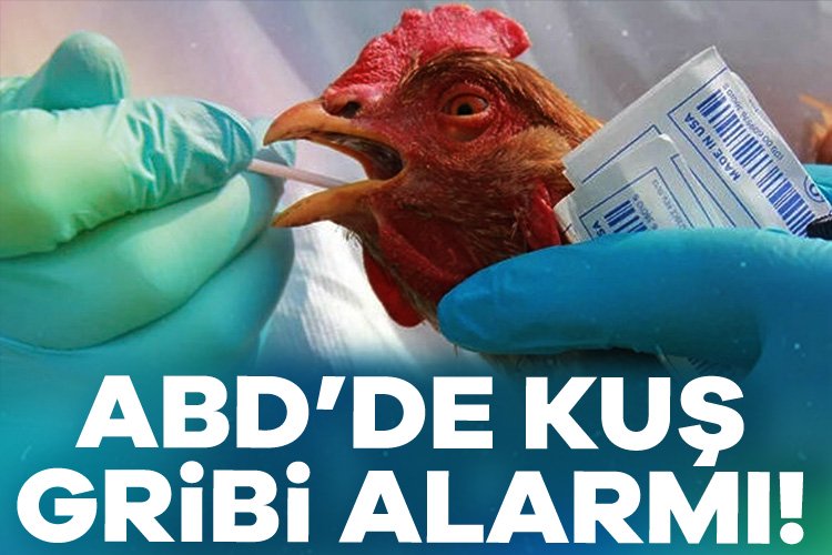 ABD’de bir insanda görülen ilk ciddi kuş gribi vakası alarma yol açtı ABD yetkilileri Çarşamba günü, Louisiana'daki yaşlı bir hastanın şiddetli kuş