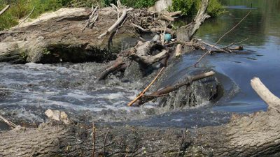 Uludağ’ın güneyinden akan ve Bursa ovasını tek başına besleyen Nilüfer