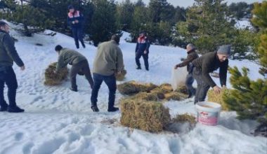 Balıkesir’in dağlarındaki yaban hayvanları için jandarma ekiplerince yemleme yapıldı.