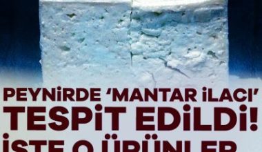Tarım ve Orman Bakanlığı tarafından yayımlanan 'Taklit veya Tağşiş Yapılan