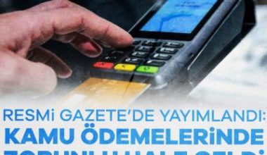 Türkiye'nin milli ödeme sistemi olan TROY için Resmi Gazete'den bir
