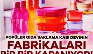 ABD merkezli gıda saklama kabı devi Tupperware'in 2024'ün son çeyreğinde