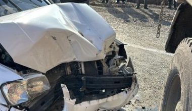 Balıkesir'in Gönen ile Manyas illeri arasında bulunan Akçaova mevkisinde meydana