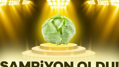 Aylık ve yıllık girdi fiyatlarında yaşanan değişimleri değerlendiren Türkiye Ziraat