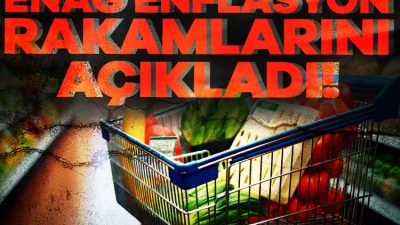 ENAG Tüketici Fiyat Endeksi (E-TÜFE) Aralık ayında %2,34 arttı. 2024