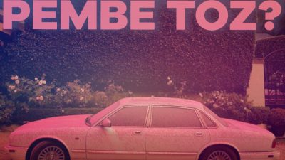 'Yangın yavaşlatıcı' genellikle yangın çevresindeki bitki örtüsüne ve yanma riski