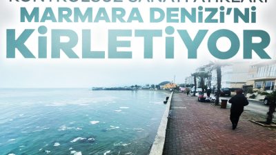 Bandırma Onyedi Eylül Üniversitesi Denizcilik Fakültesi Öğretim Üyesi Prof. Dr.