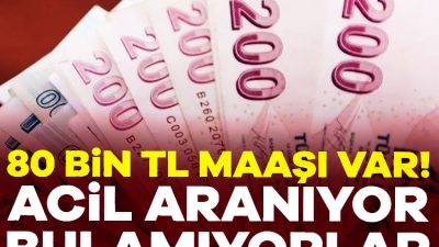 Pek çok sektörde yetişmiş ya da yetiştirilecek eleman sıkıntısı yaşanıyor.