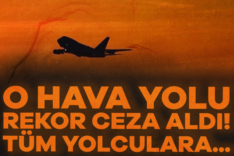 Çölyak hastası bir yolcunun uçuş sırasında yaptığı glütensiz sandviç talebi