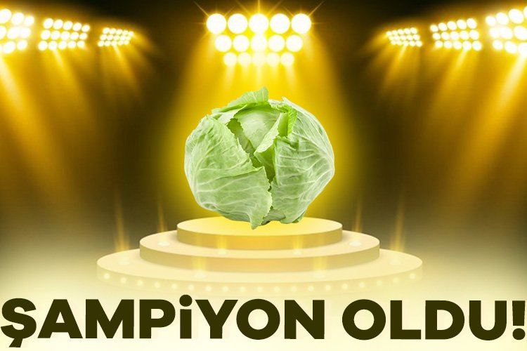 2024’ün zam şampiyonu belli oldu! Aylık ve yıllık girdi fiyatlarında yaşanan değişimleri değerlendiren Türkiye Ziraat