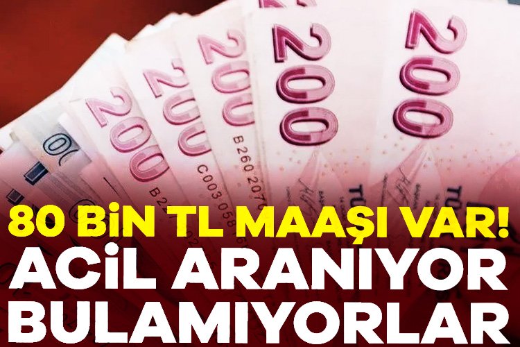 80 bin TL maaşı var! Acil aranıyor ama bulamıyorlar Pek çok sektörde yetişmiş ya da yetiştirilecek eleman sıkıntısı yaşanıyor.